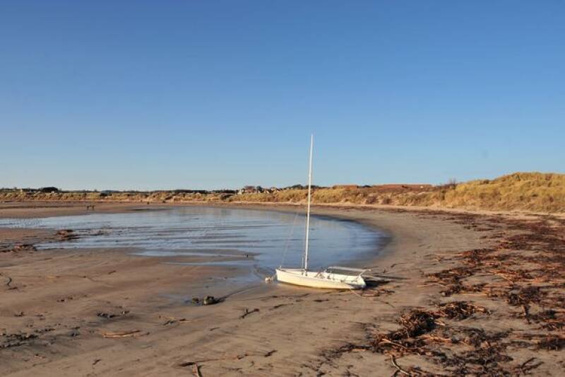 Beadnell Beach Dog Ban Rejected: What It Means for Dog Owners
