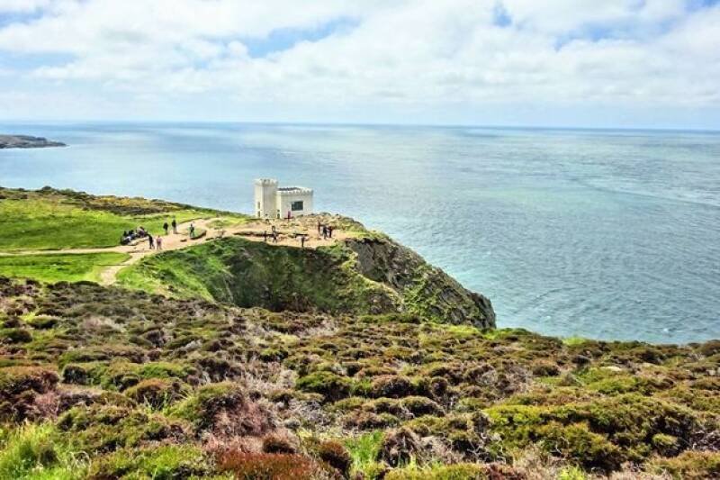 RSPB South Stack Dog Ban: Controversy and Conservation in Anglesey