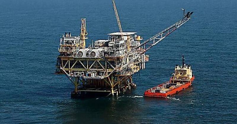 Gulf Oil Drilling Exempted: Endangered Species vs. Energy Security