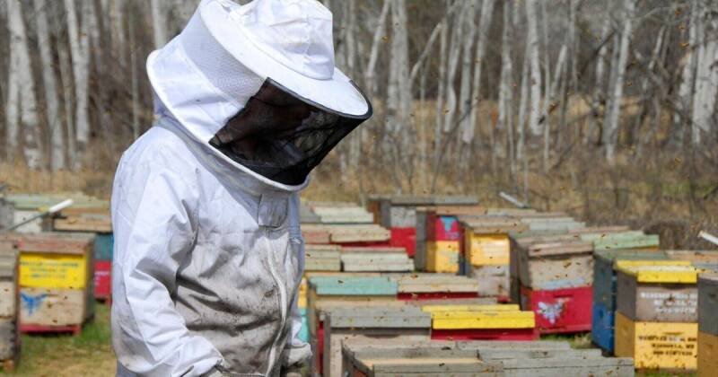 Montana Ag Businesses Receive $1M in Grants: Boosting Local Economy