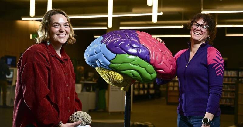 UM Grant Empowers Montana Students with Brain Science Education