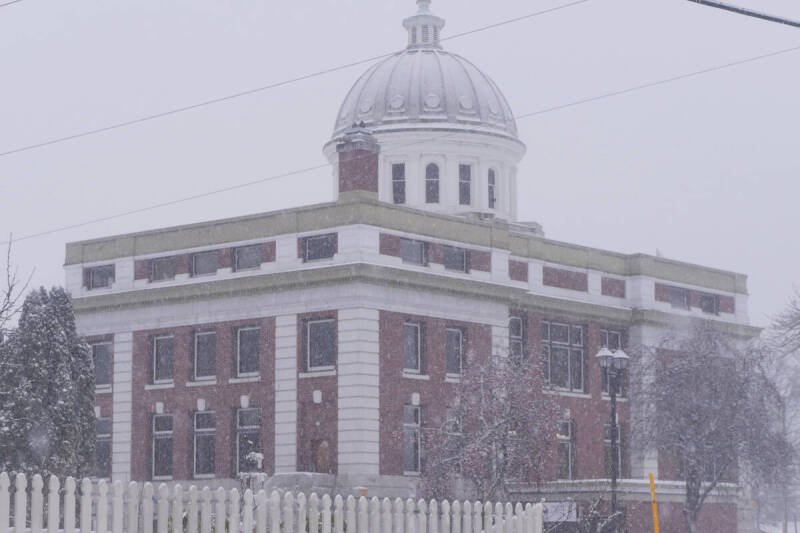 BC National Parks Dog Fines: Why You Need to Know