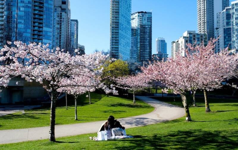 Metro Vancouver Weather: Sunny Days Ahead & What It Means for You