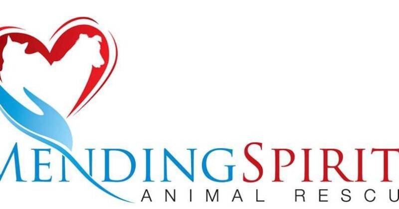 Cleveland Police Boost Easter Fundraiser: Mending Spirits' Inspiring Partnership