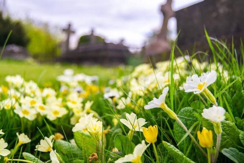 Finding Hope After Loss: An Easter Reflection