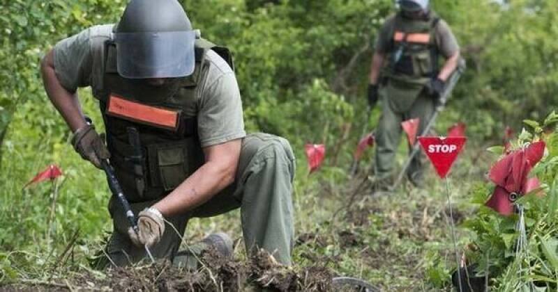 Croatia Declared Mine-Free: A Victory for Humanity and a Model for Mine Action