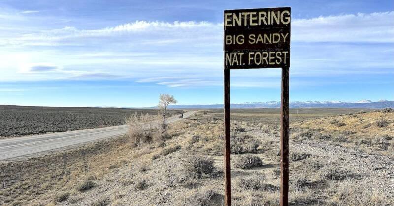 Tiny But Mighty: The Story of Wyoming's Shoshone National Forest