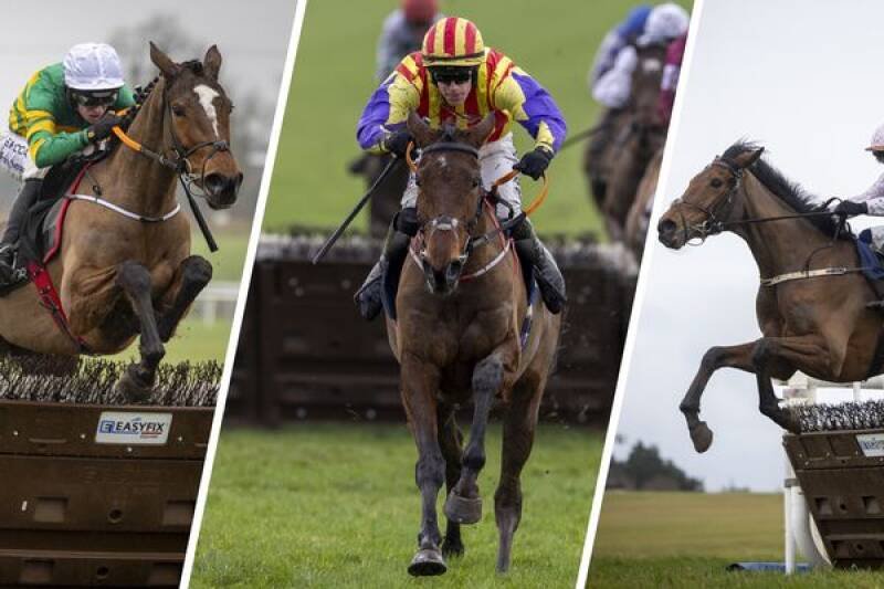 Top Trainer Optimistic About Grade 1 Chances: Decoding the Race Strategy