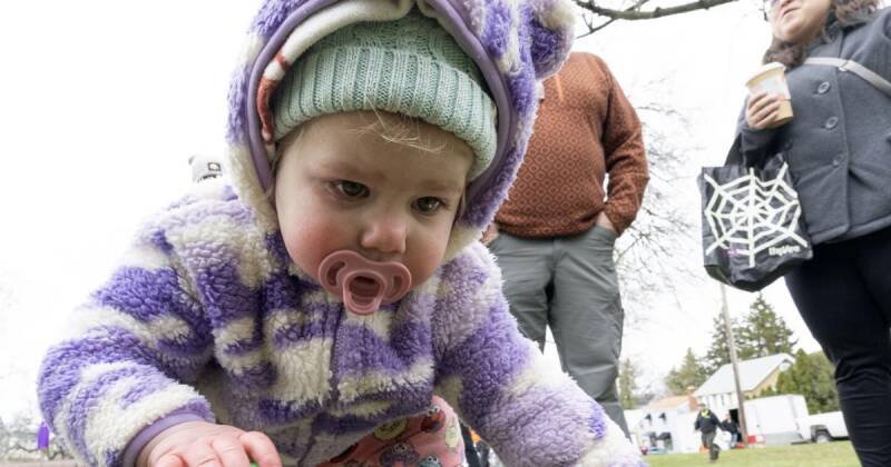 Dubuque Easter Egg Hunt: Community, Joy, and What It Means for Local Engagement