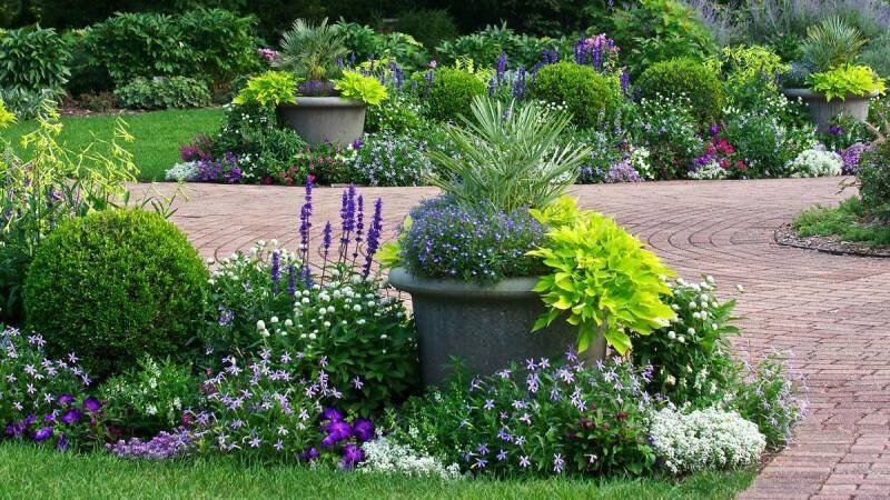 Garden Design Tips from Charlie Albone: Create Your Dream Outdoor Space