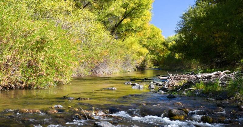 Gila River Ecosystem Thriving: Why Protection Matters