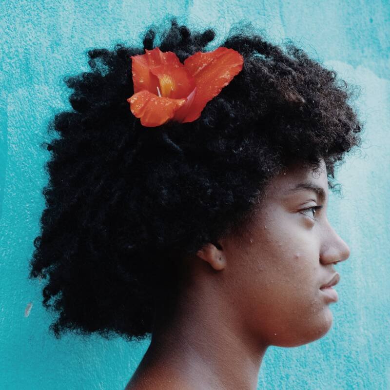 Serra Grande Brazil: Preserving the Atlantic Forest's Magic and Culture