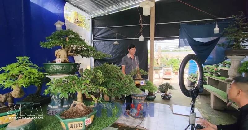 Vinh Long Farmers Boost Sales with E-commerce: A Deep Dive