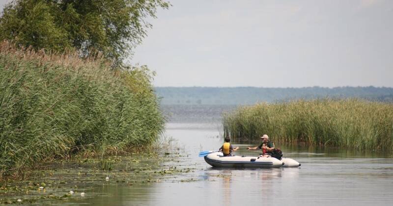 Explore Ontario's Ancient Coral Reef: A Hidden Gem Near Toronto