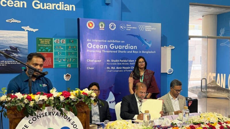 Shark and Ray Conservation: Dhaka Exhibition Highlights Urgent Need for Protection