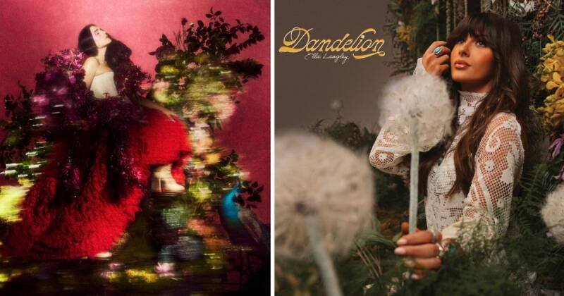 New Streaming Releases: Sydney Sweeney, Malcolm in the Middle, and More!