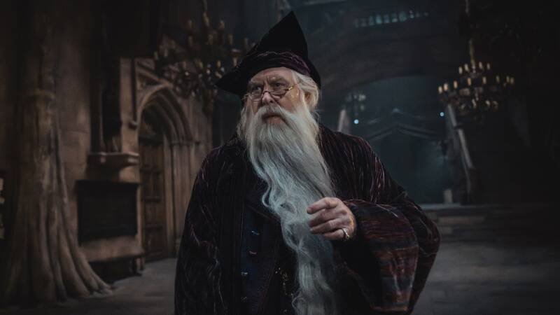 Harry Potter HBO Series: First Look at Dumbledore's Elder Wand & What It Means