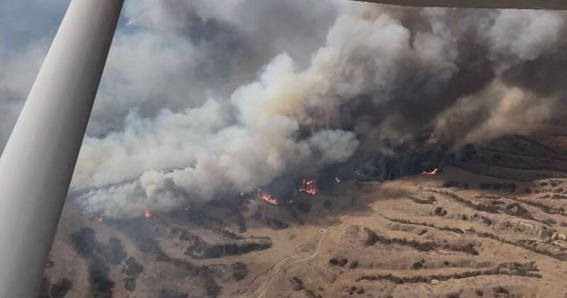 PlantNebraska Launches Disaster Recovery Fund: Replanting After Wildfires