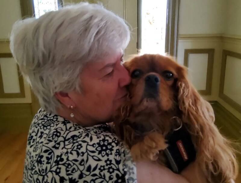 Lost Dog Doon: A Heartwarming Reunion and Lessons Learned