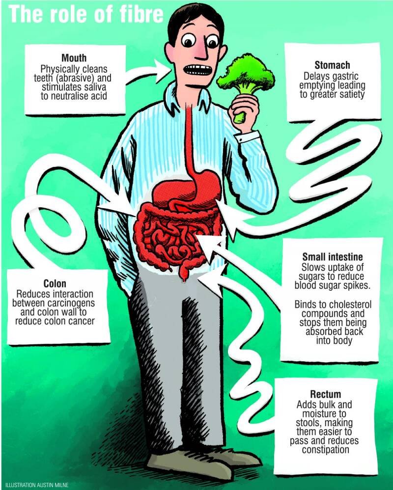 Why Fiber is Suddenly "Sexy" and Why You Need More in Your Diet