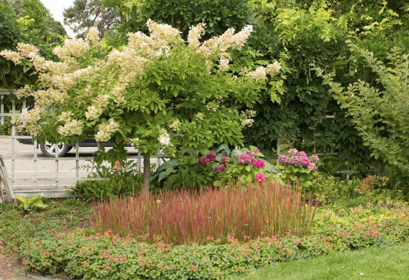 Summerland Ornamental Gardens Spring Plant Sale: Your Guide to a Thriving Garden