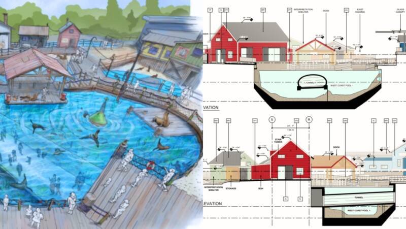 Vancouver Aquarium's Major Renovation: A Deep Dive into What's Changing and Why