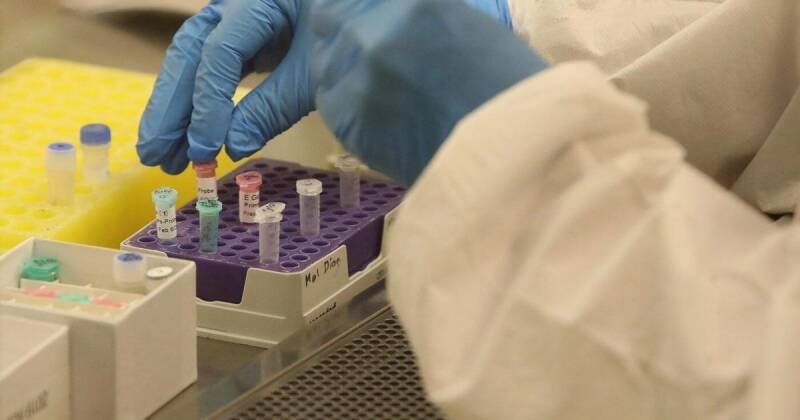 Ontario's New 'Cicada' COVID Variant: What You Need to Know (BA.3.2)