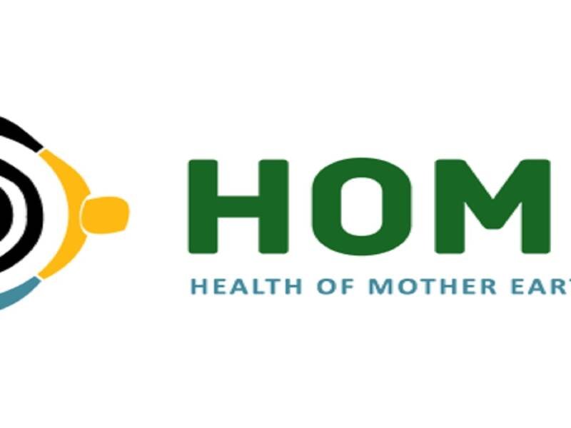 Concerns Raised Over Genetically Modified Cotton Trials in Nigeria