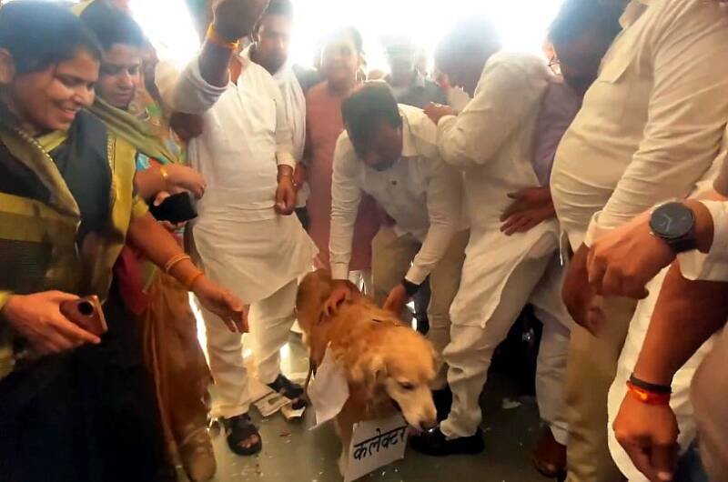 Congress Protests Wheat Procurement Delays in Madhya Pradesh: A Breakdown