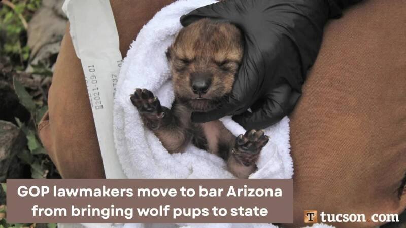 Tucson Couple Tragically Killed in Marana Plane Crash: Analysis and Future Outlook