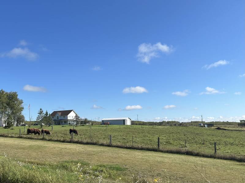 Northern Ontario Farmers Face Rising Costs and Highway Challenges