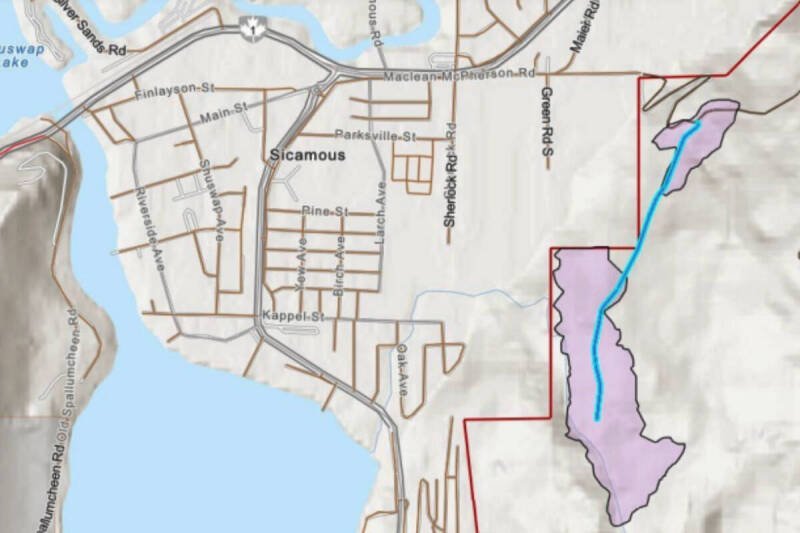 Sicamous Forest Road Deactivation Sparks Controversy: What You Need to Know