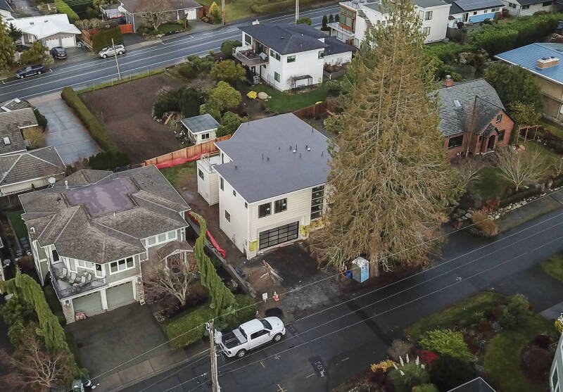 Edmonds Tree Mandate Case Reopened: What It Means for the City