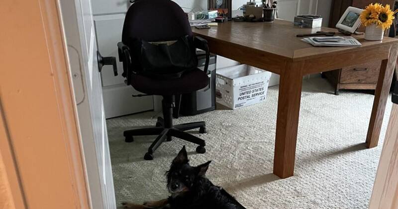 The Unbreakable Bond: Why Our Love for Dogs Matters