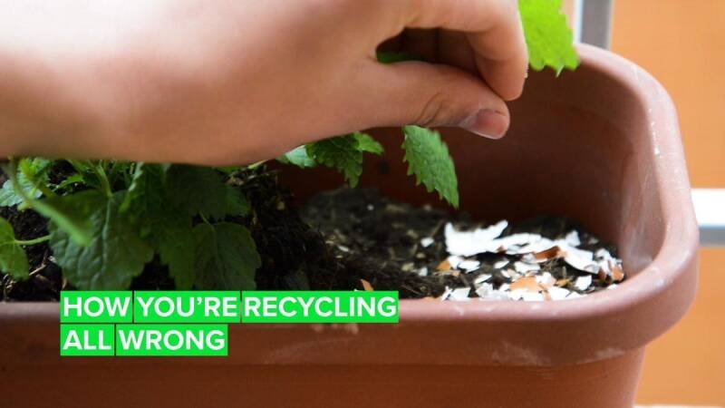 Free Shred Day Fremont: Protect Your Identity and Help the Environment