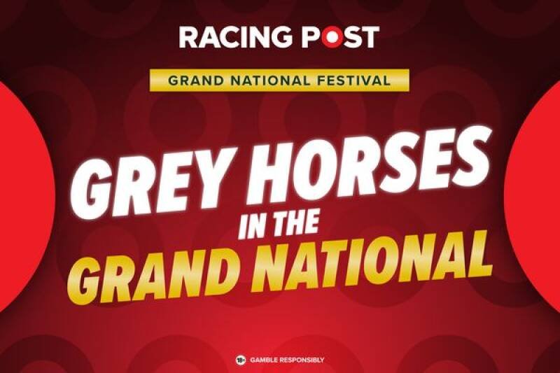 Grand National Grey Horses 2025: Tips, Odds & Sky Bet Offer