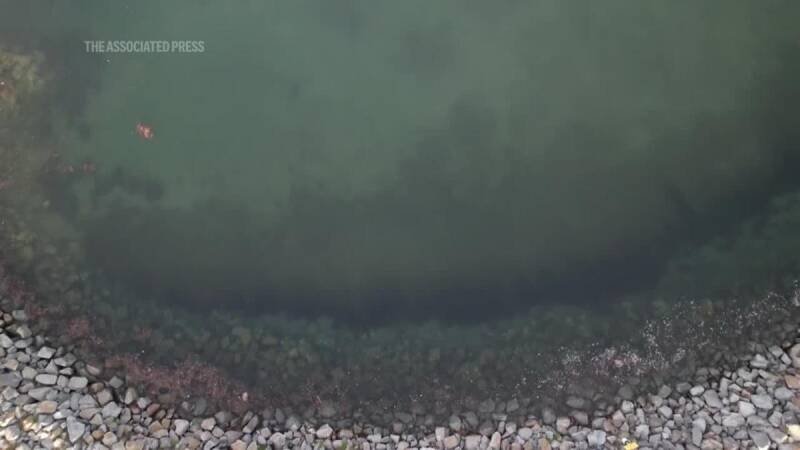 Geneseo School Board Approves Teacher Contract: What It Means for Students and the Community