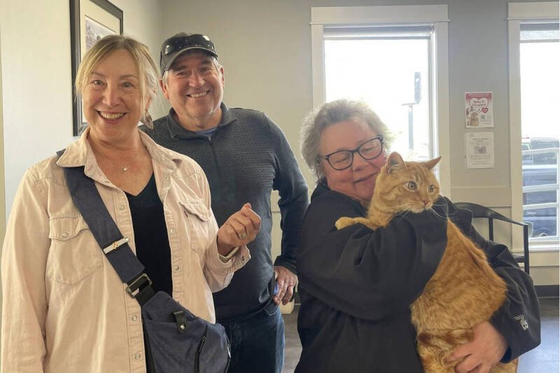 Lost Cat Reunited After 2 Years: The Power of Pet Identification