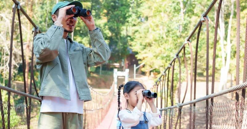 Birdwatching Event at Lacy Park: Why It Matters and What's Next