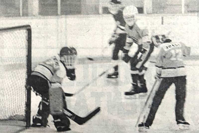 Cowichan Lake History: Elk Deaths, Road Problems, and TimberWest Conflicts