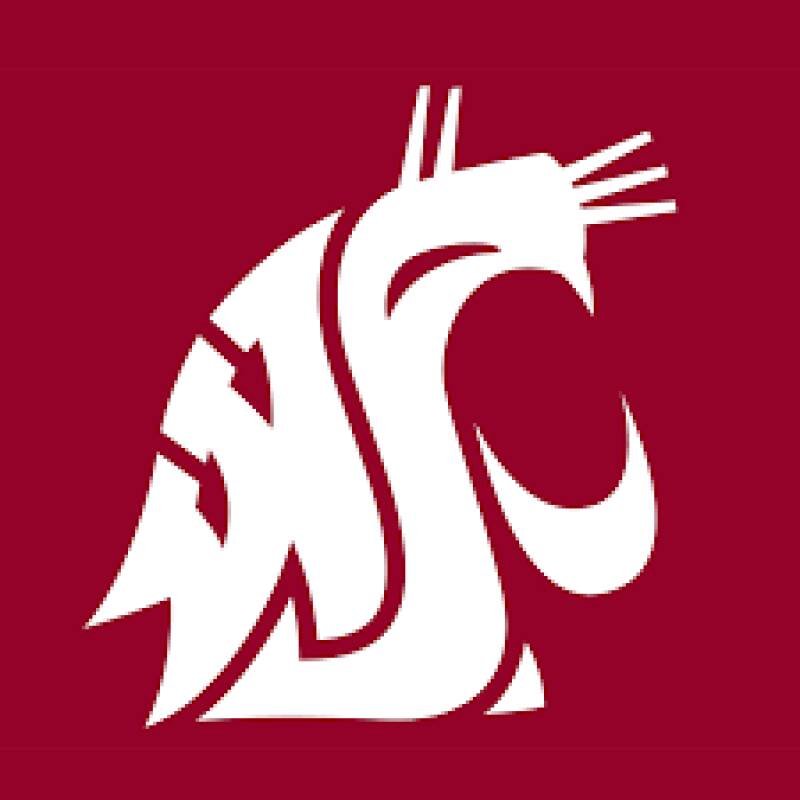 Washington State Baseball Stages Comeback: Why It Matters