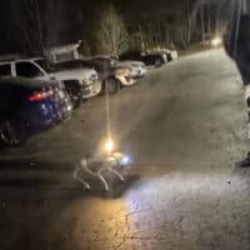 Robot Dog Security in Atlanta: Innovation or Invasion?