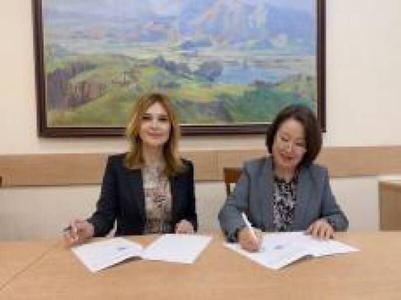 Carpet Museum Expands Global Reach: A Deeper Dive