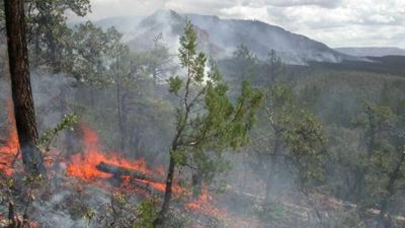 Payson Wildfire Risk Reduction Course: Protect Your Home