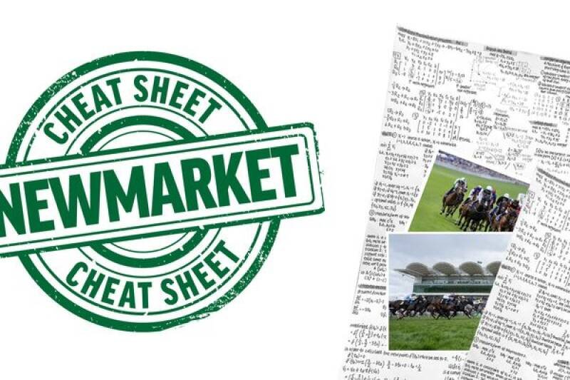 Promising Horse Racing Debut: Why It Matters and What's Next