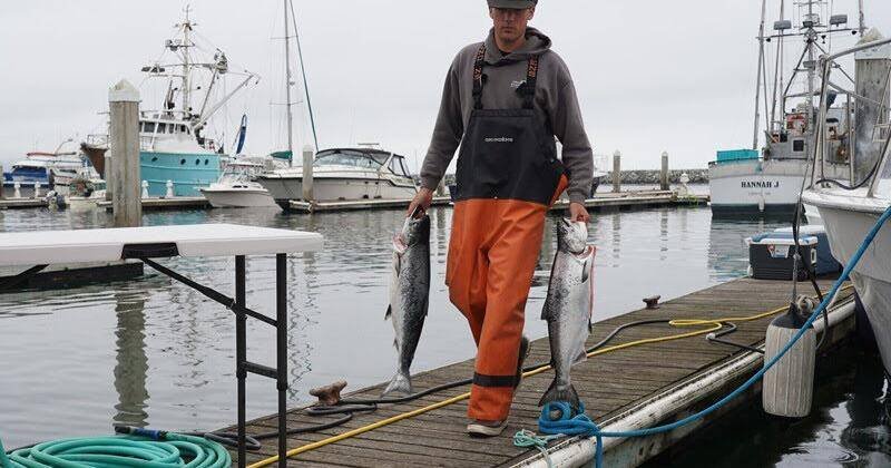 California Salmon Fishing Rebounds: What Anglers Need to Know