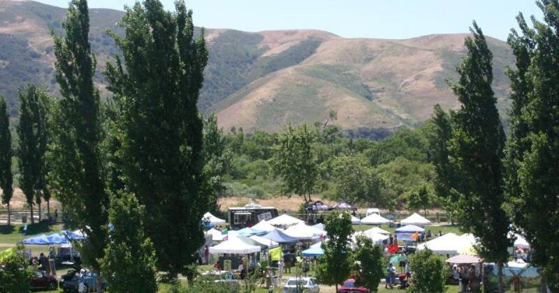 Buellton Earns Tree City USA Title: What It Means for Residents