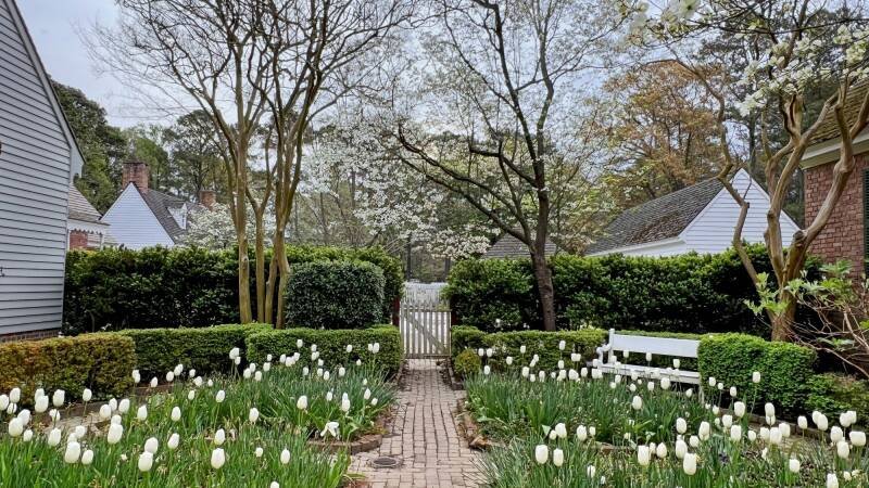 Historic Garden Week in Hampton Roads: A Deep Dive into Beauty and History
