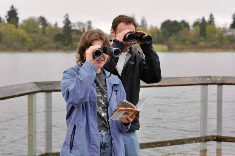 Bird-Watching Game "Flock Around" Gets $50K Boost: What It Means for Indie Game Development