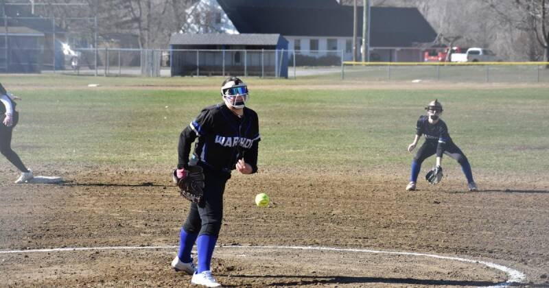 Local High School Sports Roundup: Baseball and Softball Shine